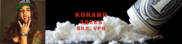 мет Арсеньев