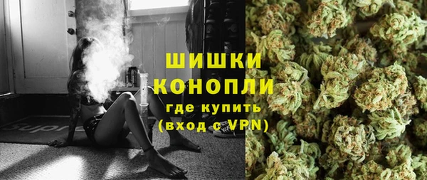 гидра Семилуки