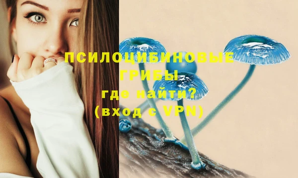 мескалин Армянск